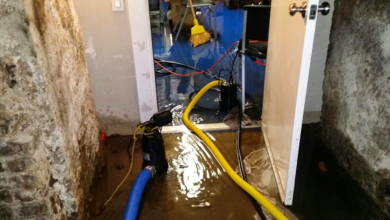 How do dry out water damage in the house?