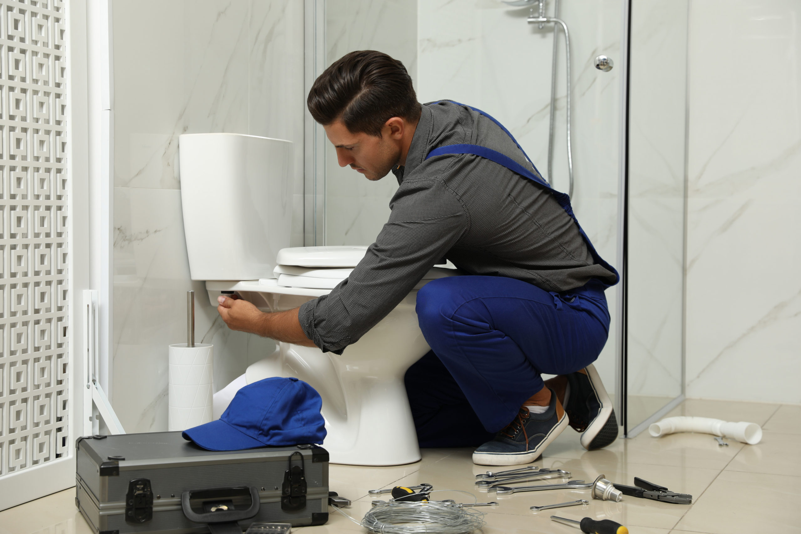 toilet repair Image