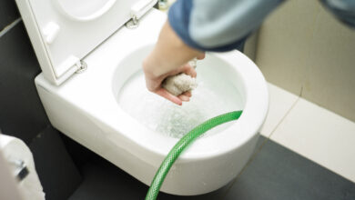 Flush Your Toilet When Its Not Completely Frozen
