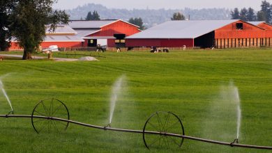 Farms