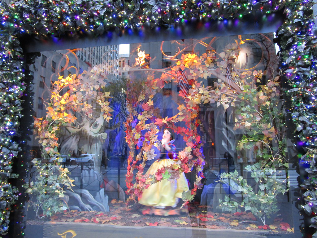 Digital Window Displays